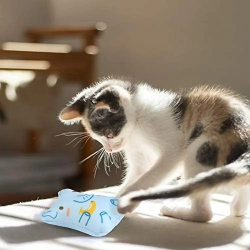 Catnip Toys for Indoor Cats - 5PCS Plush Cat Chew Toys Teething Interactive Catnip Filled Kitten Toy Soft Pet Toy (Animal Shapes