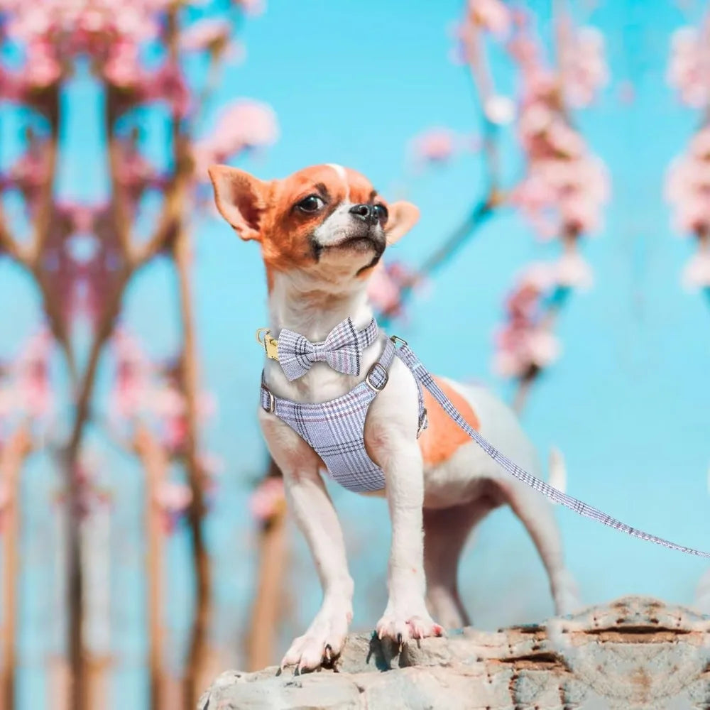 Cute Extra Small Dog Harness Collar and Leash Set with Bowtie, Soft Adjustable Plaid Puppy Harness for Small Sized Dogs Cats Wa