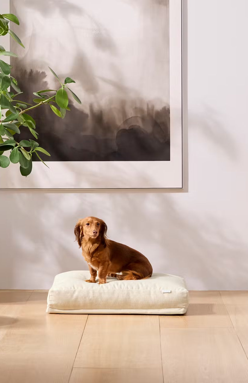 Pet Bedding