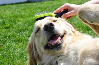 Grooming