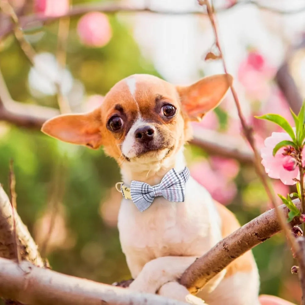 Cute Extra Small Dog Harness Collar and Leash Set with Bowtie, Soft Adjustable Plaid Puppy Harness for Small Sized Dogs Cats Wa