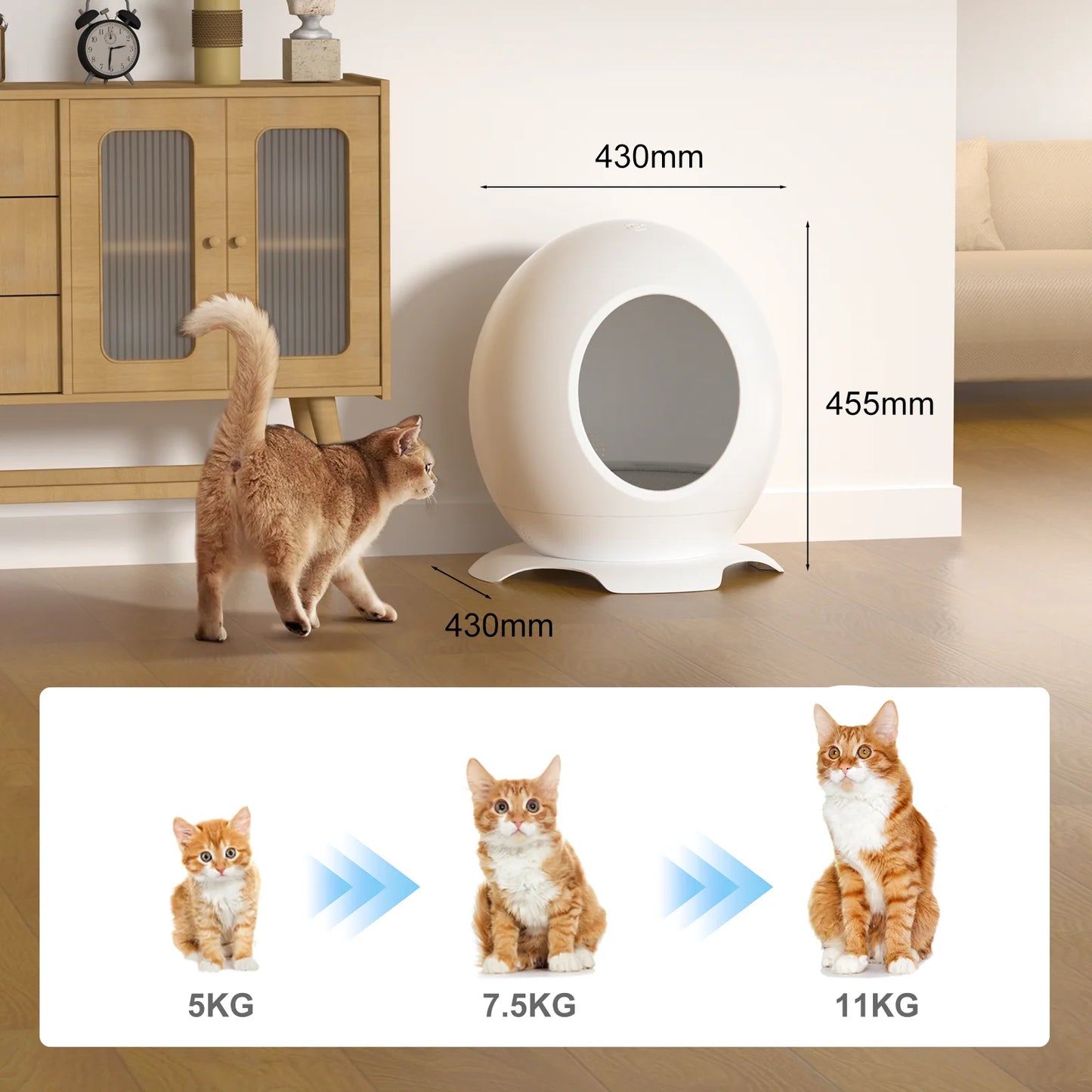 Modern Round Pet Bed for Cats or Small Dogs, Mini Medium Sized Dog Cat Bed Self Warming Autumn Winter Indoor Snooze Sleeping