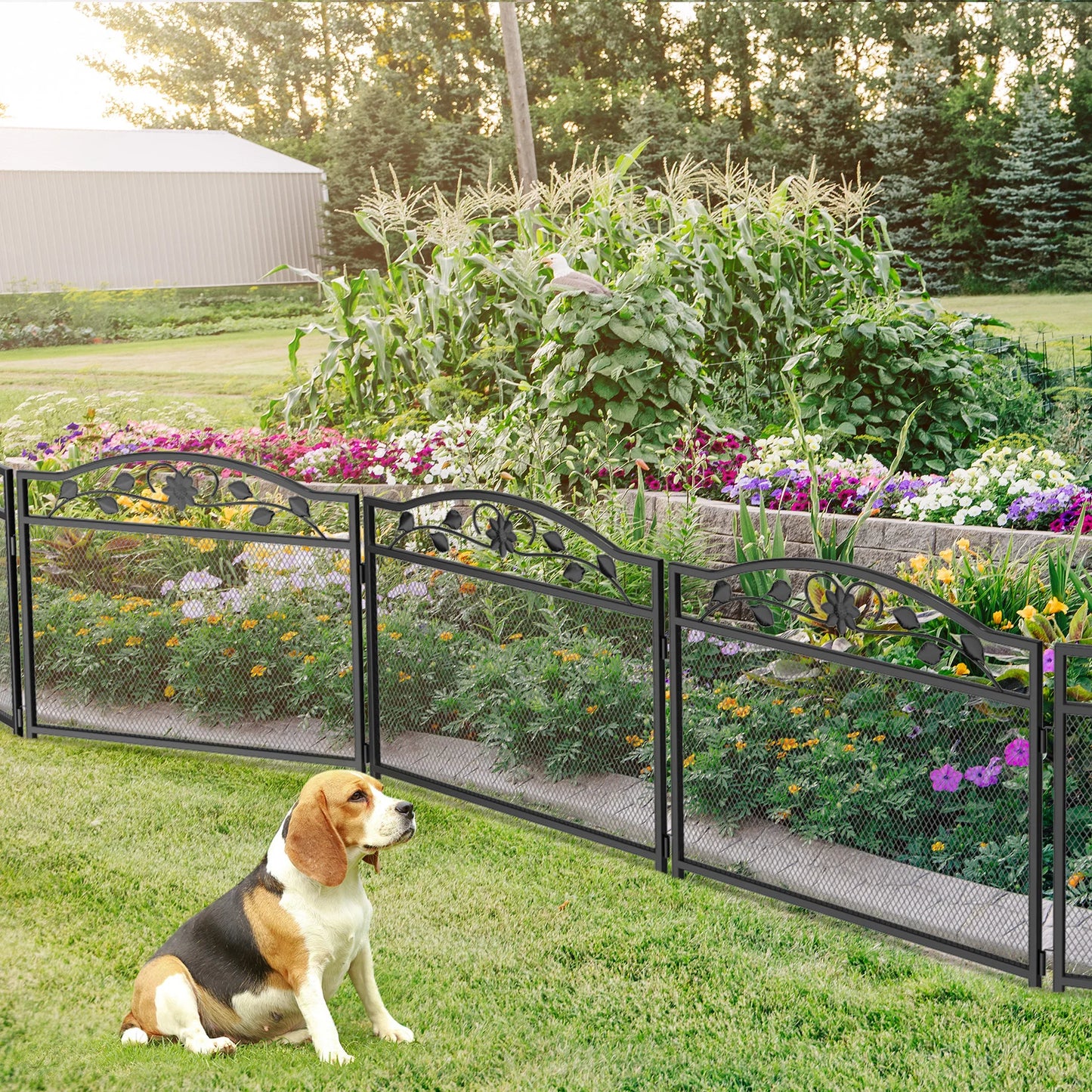 5pcs Heavy Duty Garden Fence Metal Decorative Fencing Panel Garden Entry Path Fence