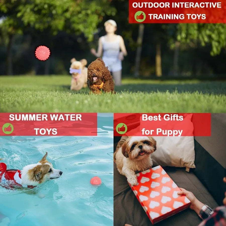 6 Pack Red Dog Chew Toys for Small Dogs: Promotes Dental Health and Interactive Play Ideal for Teething Puppies and Active Play