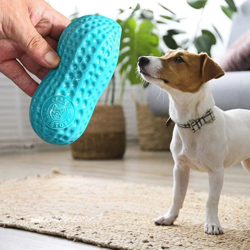 Resistant Toy TPR Pet Bite Grinding Puzzle Toy Stick Bite Peanut Toy Pet Supplies Interactive Dog Dog Teeth Training