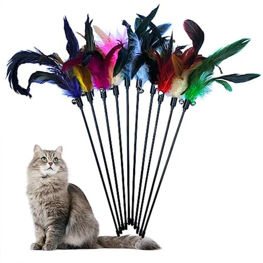 10Pack Cat Feather Wand Toys with Bell tural Feather Interactive Teaser for Indoor Kittens Friendly Cat Toy