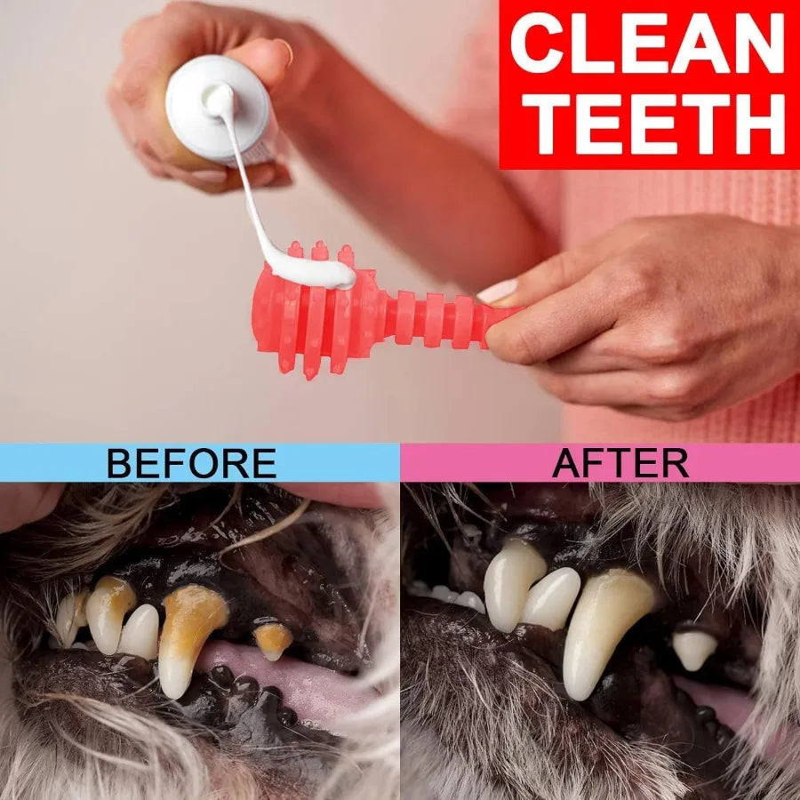 6 Pack Red Dog Chew Toys for Small Dogs: Promotes Dental Health and Interactive Play Ideal for Teething Puppies and Active Play