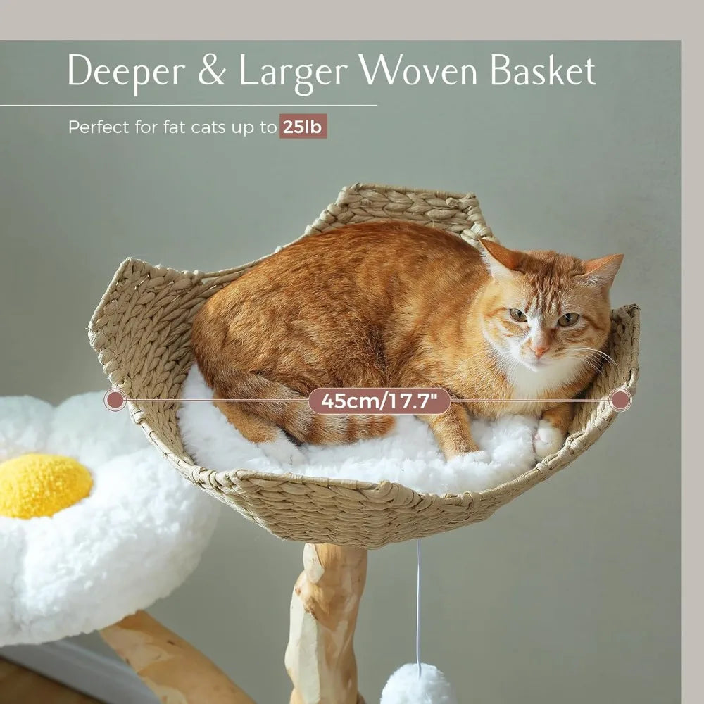 PAWZ Road Cat Tree for Indoor Cats Large Adults, 59 Inches Modern Cat Tower with Large Basket and Hammock, Natural Solid Wood, L