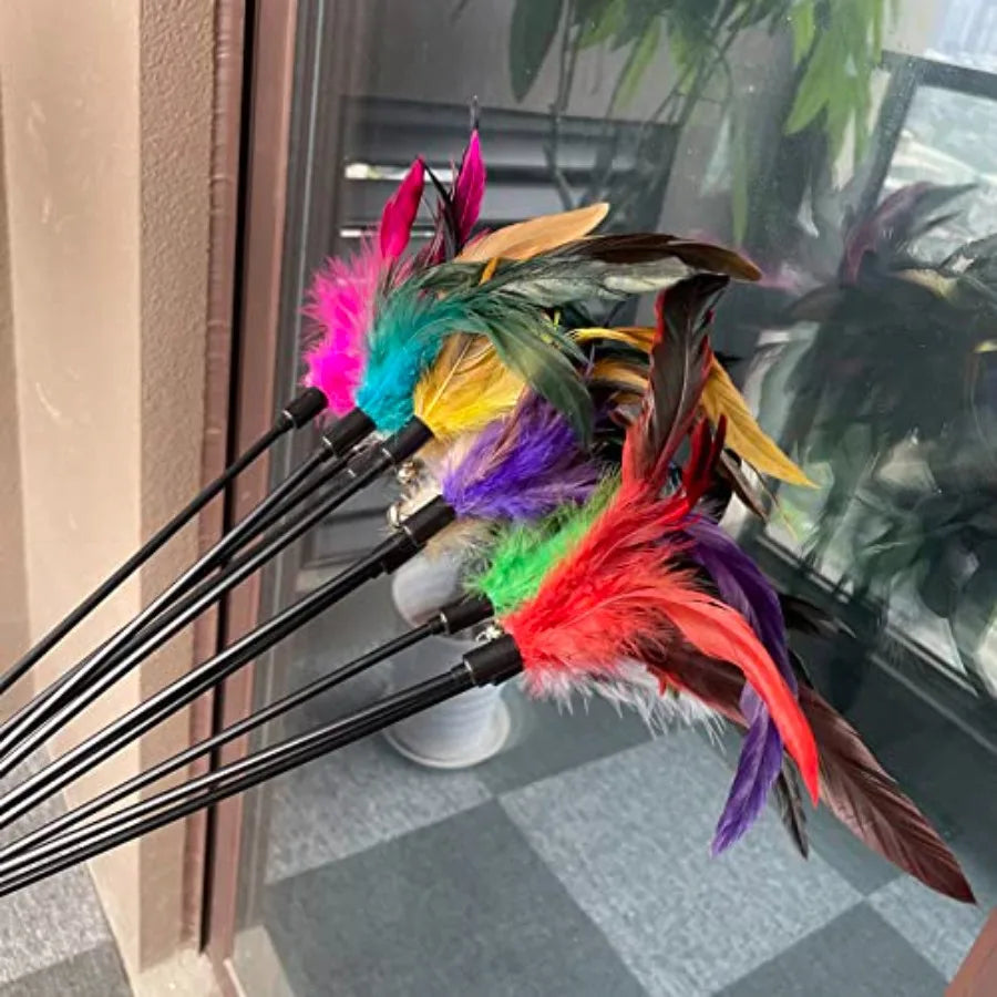 10Pack Cat Feather Wand Toys with Bell tural Feather Interactive Teaser for Indoor Kittens Friendly Cat Toy
