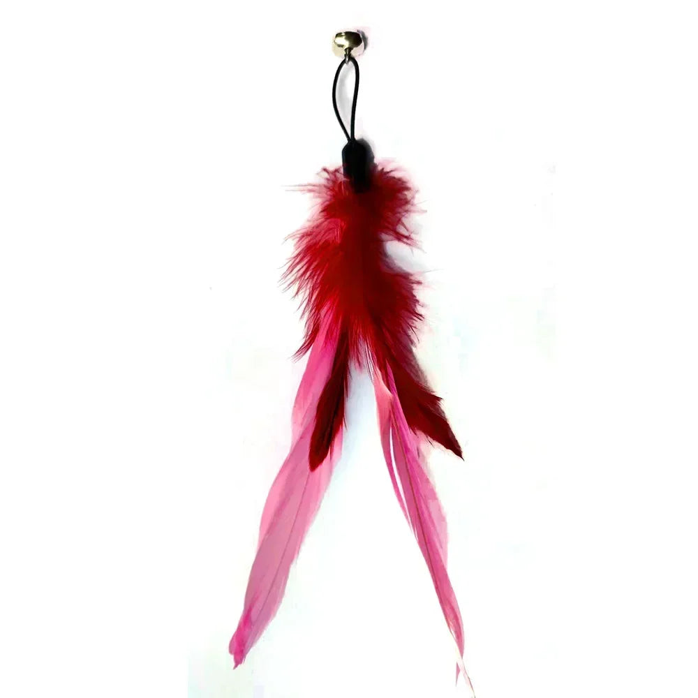 Pet Cat Toy with Bell Color Feather Toy Fishing Rod Replacement Head Feather Funny Cat Toy Cat Interactive Toys