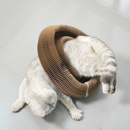 Magic Organ Cat Scratching Board Cat Interactive Toys Grinding Claw Sleeping Bed Cat Grinding Claw Scratching Board Pet Supplies