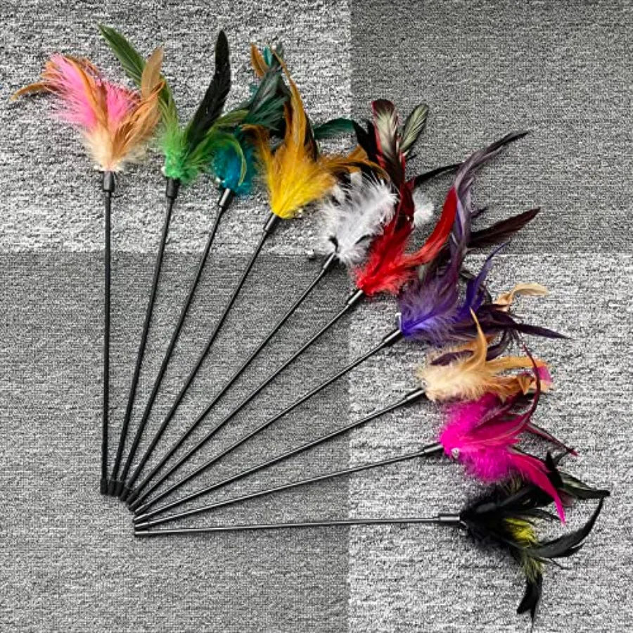 10Pack Cat Feather Wand Toys with Bell tural Feather Interactive Teaser for Indoor Kittens Friendly Cat Toy