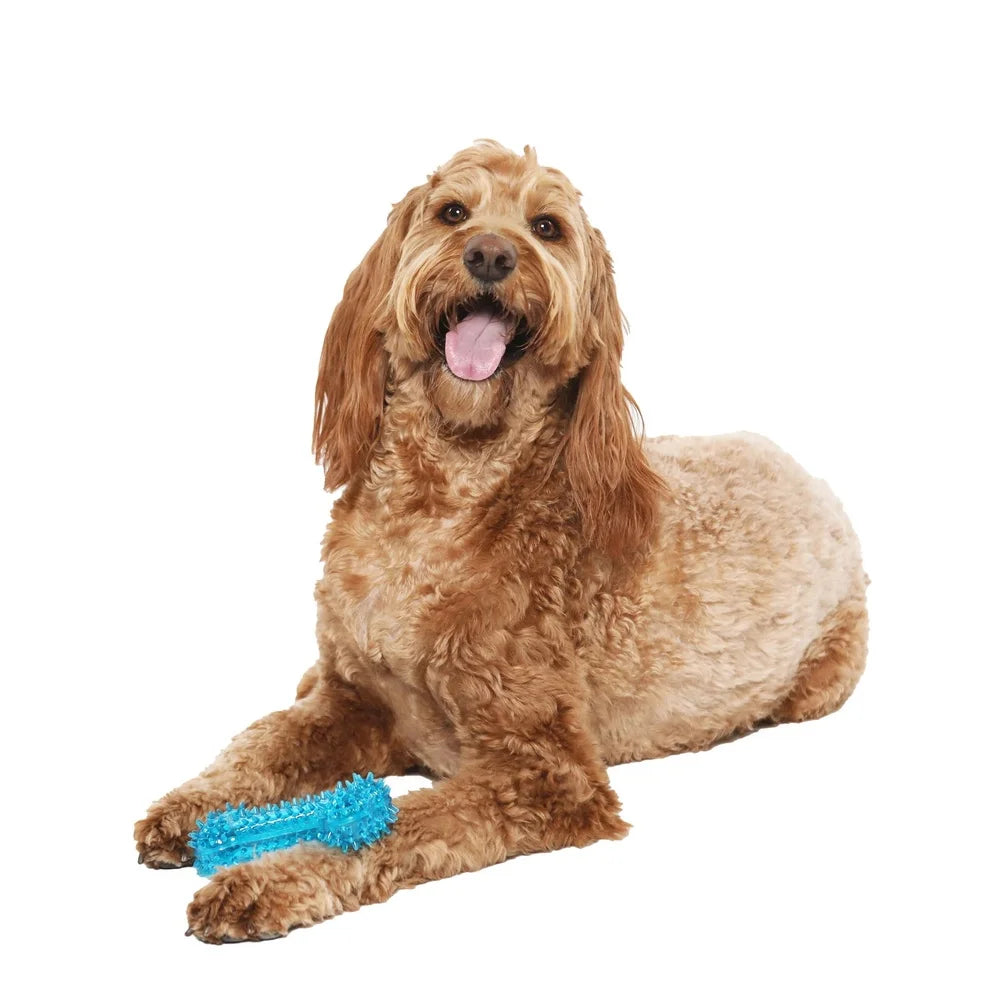 3 Pack Spiky Blue Bone Dog Toy Chew Level 3 Interactive Fetch Play Indoor Outdoor Durable TPR Chewable Moderate Chewers