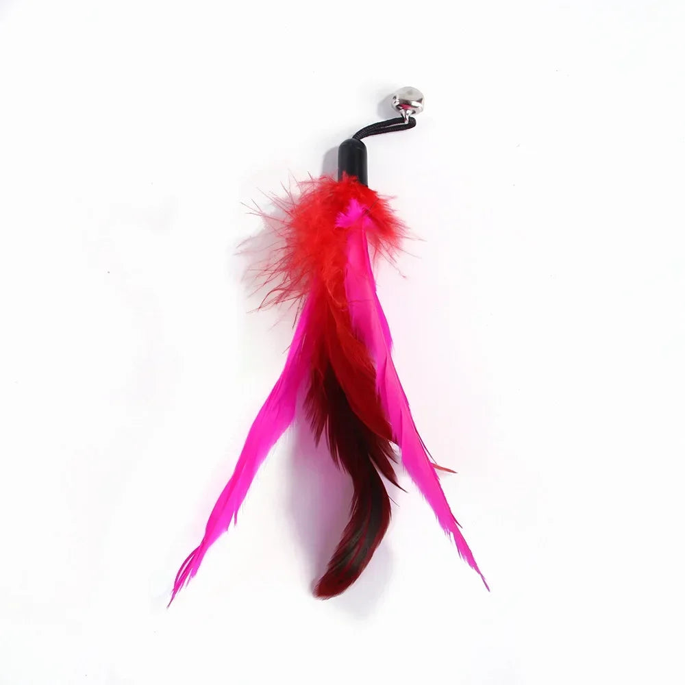 Pet Cat Toy with Bell Color Feather Toy Fishing Rod Replacement Head Feather Funny Cat Toy Cat Interactive Toys